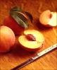 flavorcrest_peaches