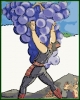 grape_harvest