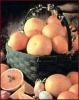 grapefruit_3