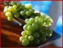 grapes_4