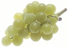 grapes_large