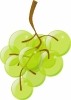 green_grapes_on_vine_T