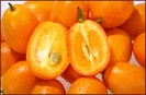 kumquat_2