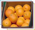 oranges_in_a_box