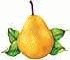 pear_yellow_bartlett