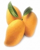 Philippine_mangoes
