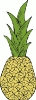 pineapple_1