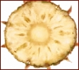 pineapple_slice