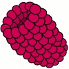 raspberry_clip