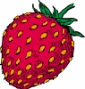 strawberry_4