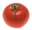 tomato_picture