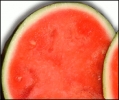 watermelon_seedless