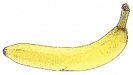 wpclipart_banana