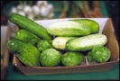cucumbers_2