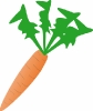 leafy_carrot