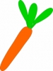 leafy_carrot_2