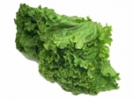 lettuce_looseleaf