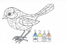 vogels023