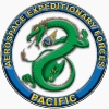 Aerospace_Expeditionary_Forces_Pacific
