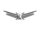 Air_Force_Space_Badge__Basic