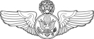 Chief_Enlisted_Aircrew_badge__command_level