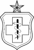 Enlisted_Medical_badge__Senior_Level