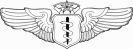 Flight_Surgeon_badge__Command_Level