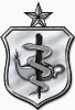 Nurse_Corps_badge__Senior_Level