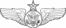 Senior_Enlisted_Aircrew_badge__senior_level