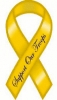 support_our_troops_yellow_ribbon_sm