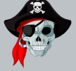 piraat_32