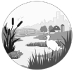 wetland_ecology_T