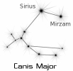 canis_major