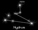 hydrus_black
