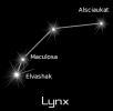 lynx_black