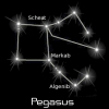 pegasus_black