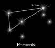 phoenix_black