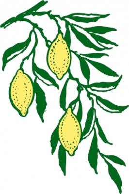 lemon_branch