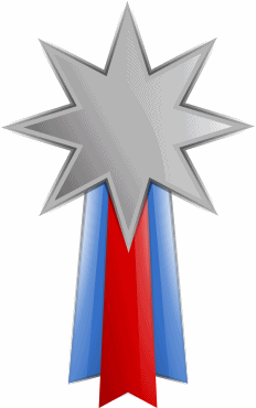 Silver_Medal_1_T
