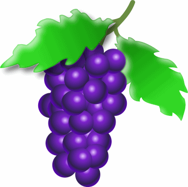 grapes_on_vine_1