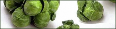 brussel_sprouts_banner