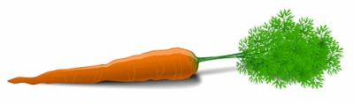 carrot_at_rest