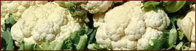 cauliflower_banner