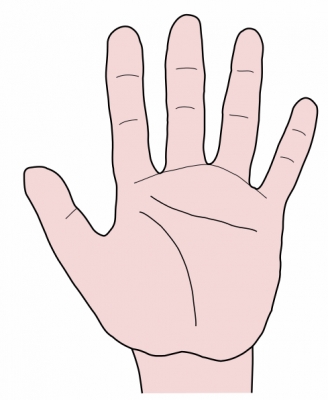 hand_palm_forward_T