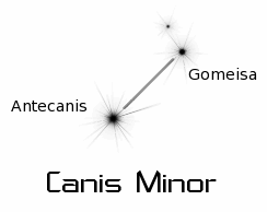 canis_minor