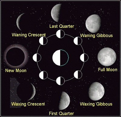 Moon_Phases