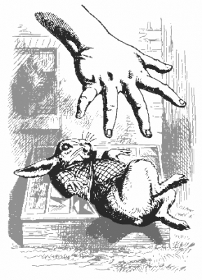Alices_hand_grabbing_at_Rabbit