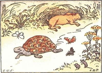 Tortoise_and_Hare