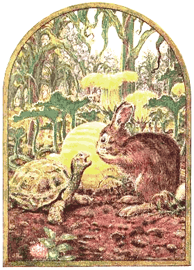 tortoise_and_hare_1