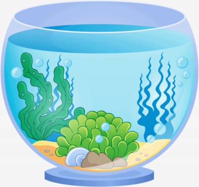 aquarium009b